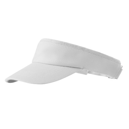 310_00_cw600 Sunvisor 310