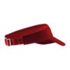 310_07_dw600 Sunvisor 310